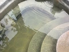 -扬州瘦西湖温泉