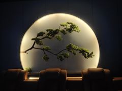 -御养源·影院式足道·按摩SPA·星级自助餐(青秀店)