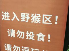 -壹华里市集