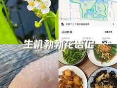 -昆山城市生态森林公园