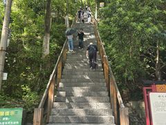 -云碧峰国家森林公园