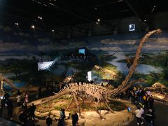 -自贡恐龙博物馆