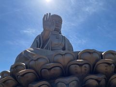 -龙口南山旅游景区