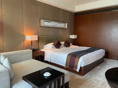 -河源万绿湖美思威尔顿酒店