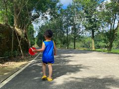 -田心森林公园