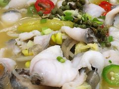 -蜀腾川·火锅鱼.烤鱼(新世界城店)