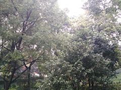 -乌山风景区