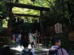 -野宫神社