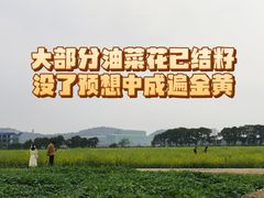 -长洲岛
