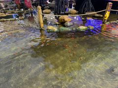 -鸿通城购物中心