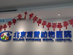 -北京观赏动物医院·24小时大型综合·猫专科·异宠专科
