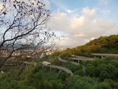 -福道