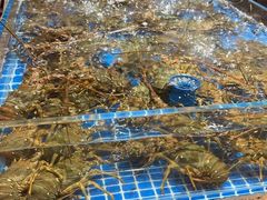 -深圳福田香格里拉大酒店