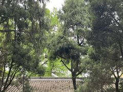 -成都武侯祠博物馆