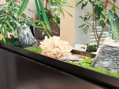 -俏立方·15年新楚菜
