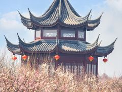 -上海海湾国家森林公园