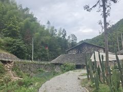 -MOJ coffee(瓯海泽雅水碓坑店)