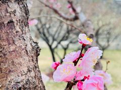 -北京明城墙遗址公园