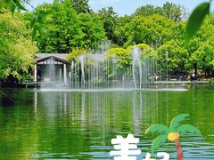 -上海共青森林公园