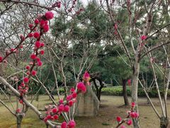 -上海市龙华烈士陵园