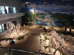 -自贡恐龙博物馆