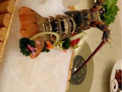 iphone_upload_pic-颐东国宴大酒店