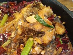 -老板恋上鱼(印象城店)