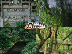 -十里琅珰