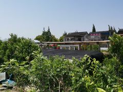 -小鱼草莓采摘园农家乐·小鱼餐厅
