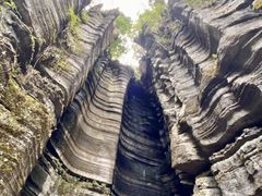 -梭布垭石林景区