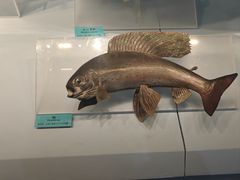 -天津自然博物馆