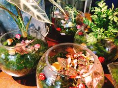 -杂咖zacup(领展中心城店)