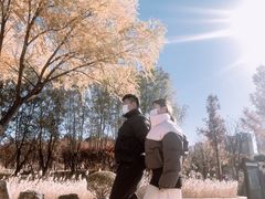 -济南国际园博园