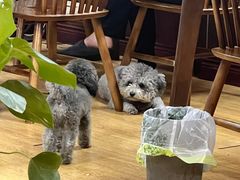 -观桥阁(锦溪店)