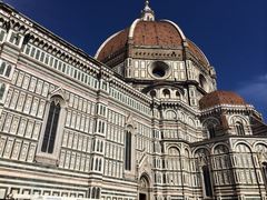 布鲁内莱斯基穹顶-圣母百花大教堂穹顶