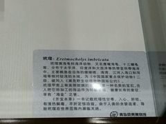-青岛贝壳博物馆