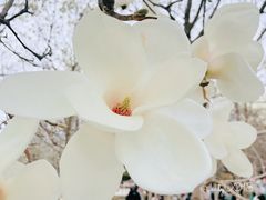 -睦南公园