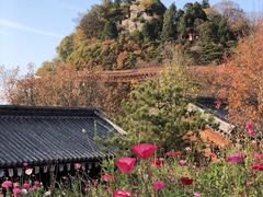 -少华山国家森林公园