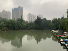 -西苑公园