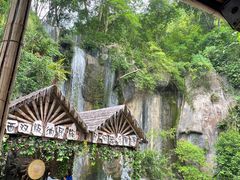 -西双版纳原始森林公园