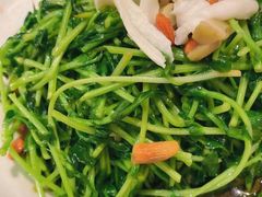 松茸菌豆苗-丰收日·小海鲜·沪上家宴(顾村正大店)