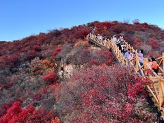 -水峪民俗村