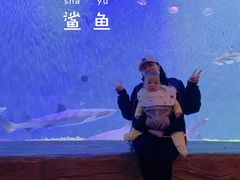 -华夏文旅海洋公园