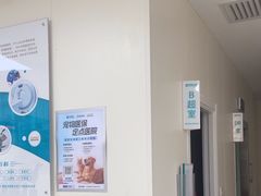 -美联众合动物医院·24h京西诊疗中心