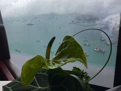 -天龙轩(香港丽思卡尔顿酒店)