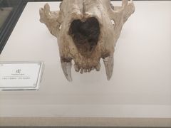 -辽宁古生物博物馆