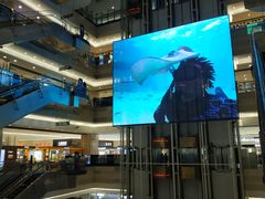 -燕莎友谊商城(金源店)