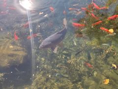 -水磨沟公园