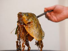 -费明中罗非鱼(大石坝店)