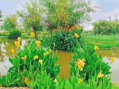 -呈贡滇池生态湿地公园